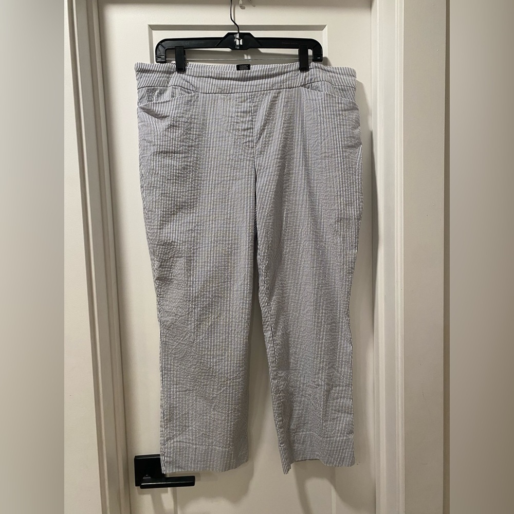 Hilary Radley Blue and White Striped Pants